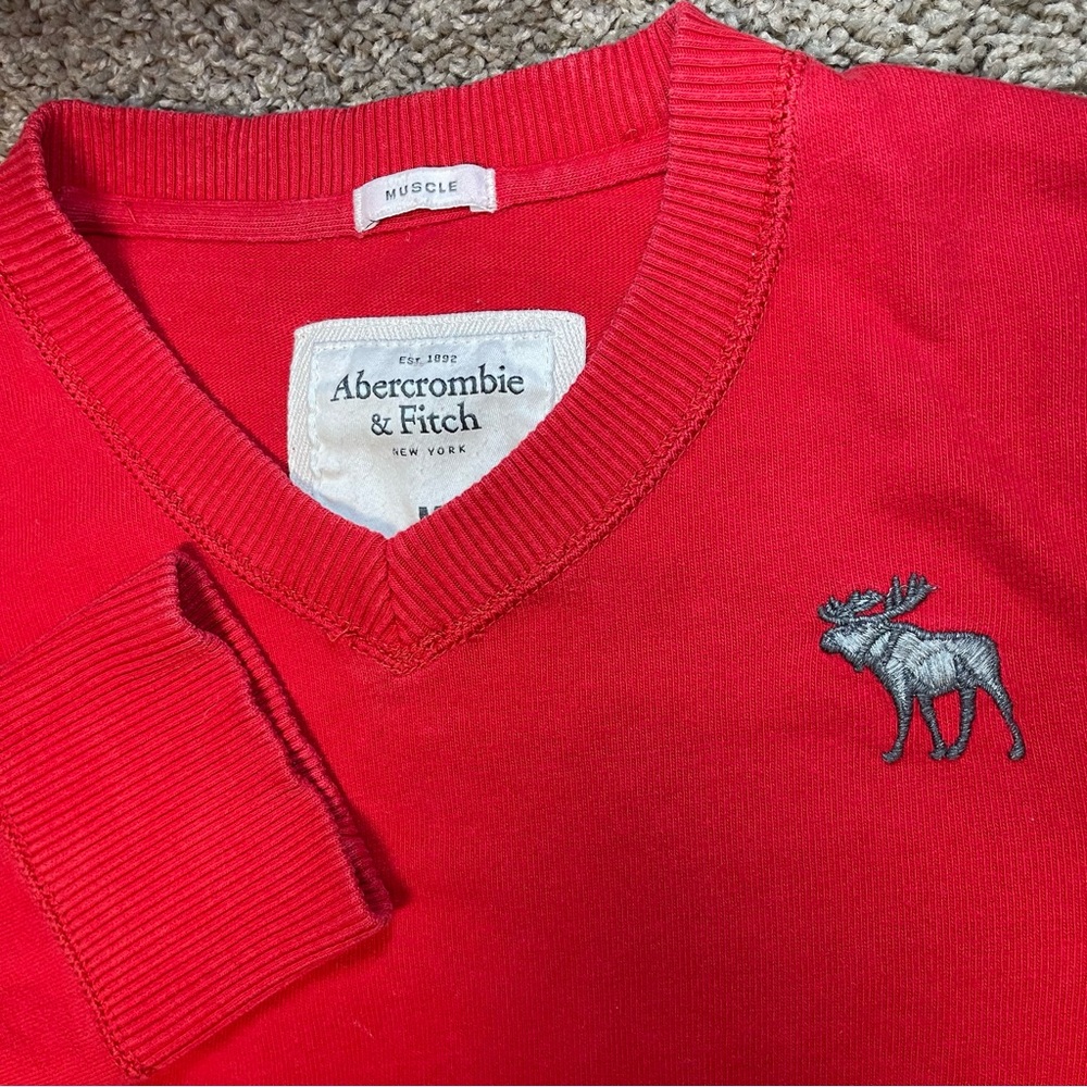 Abercrombie Fitch muscle pullover V neck sweater medium red moose‎ preppy office